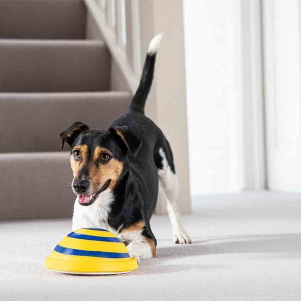 Dog Toy Glider with Sound