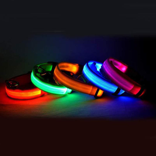 Dog Luminous Collar Night Safety