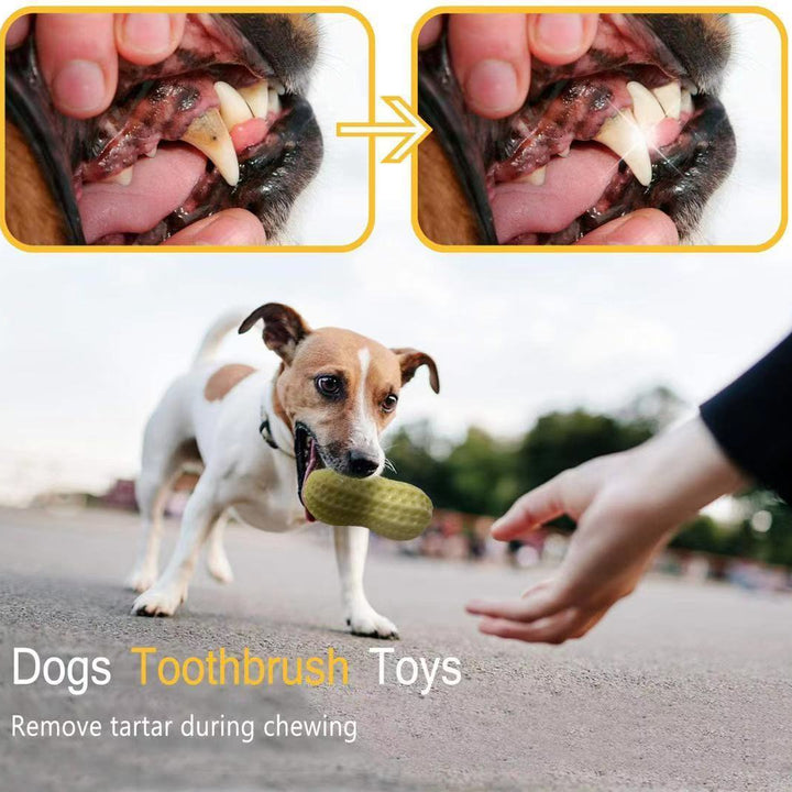 Pet Dog Squeaky Toys