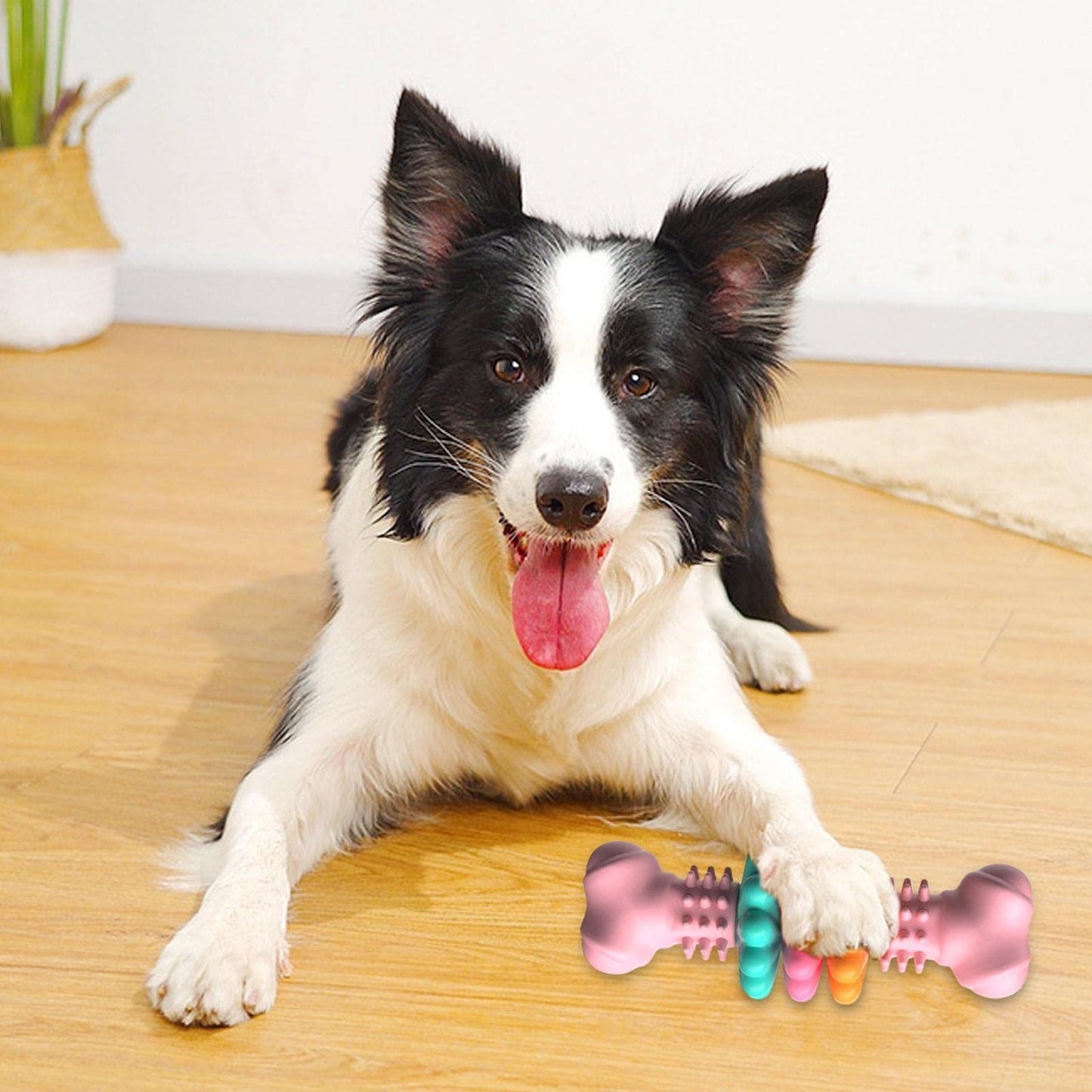 Dogs Teething Products