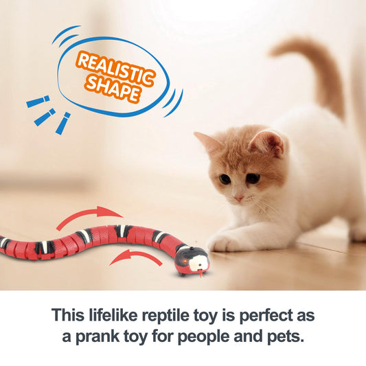 Interactive Pet Toys