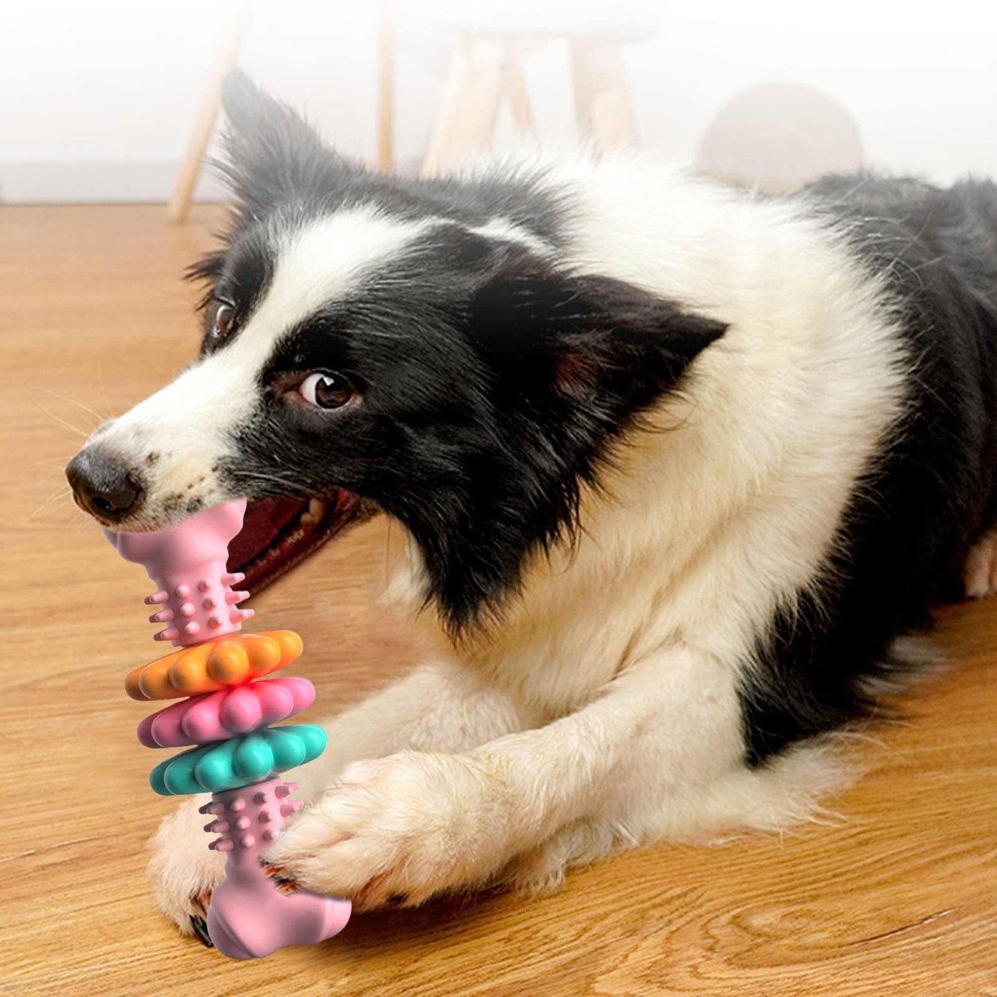 Dogs Teething Products